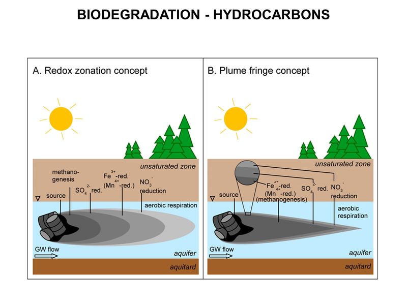 File:WH Picture5.JPG